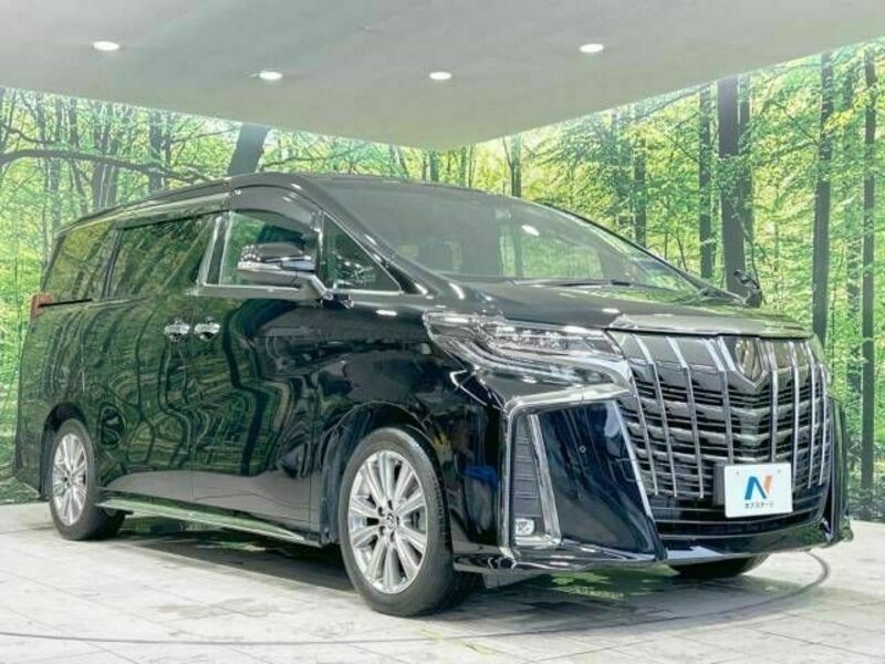 ALPHARD-17