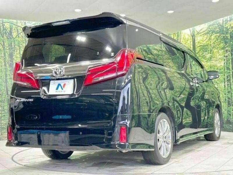 ALPHARD-18