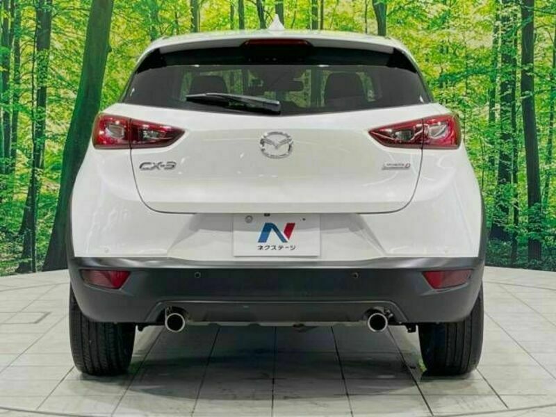 CX-3-15