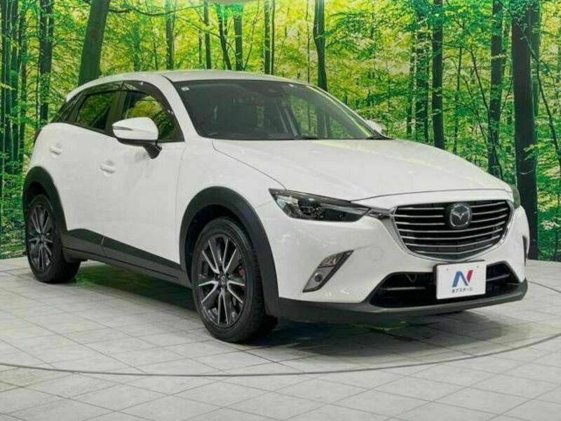 CX-3-16