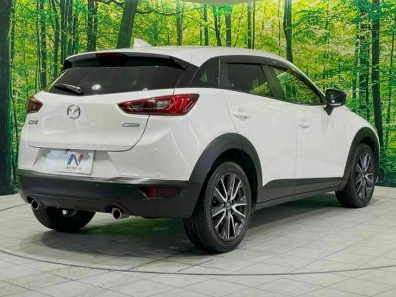 CX-3-17