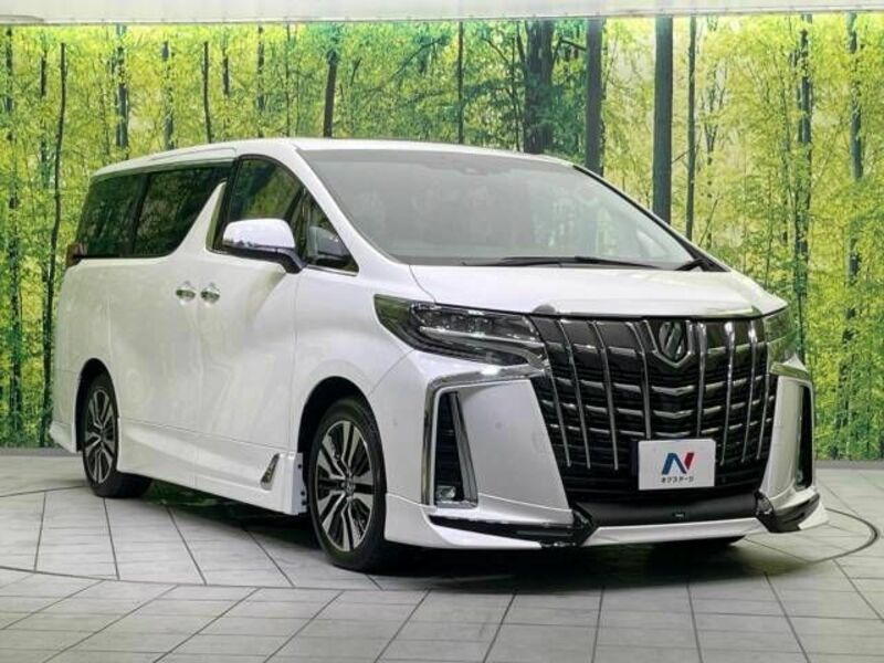 ALPHARD-17