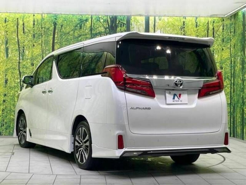 ALPHARD-18