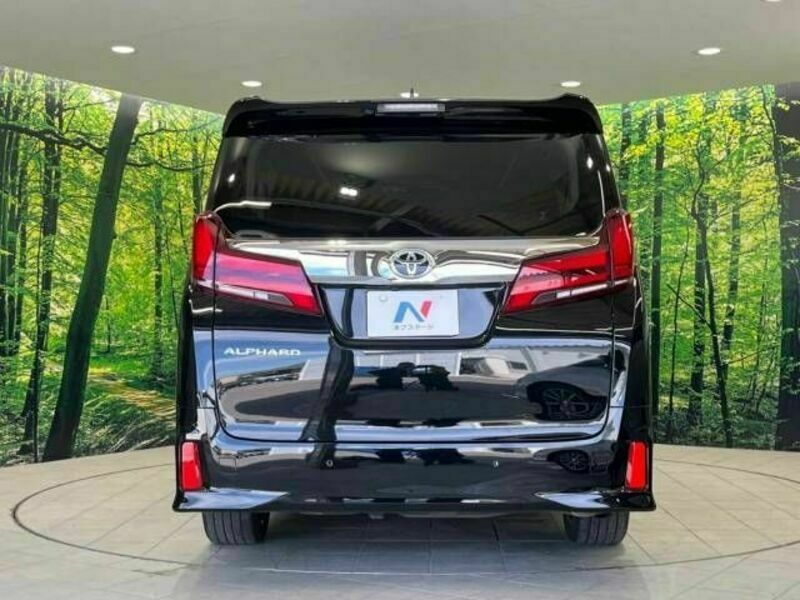 ALPHARD-18