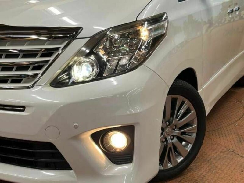 ALPHARD-13