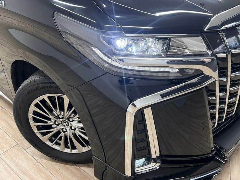 ALPHARD-19