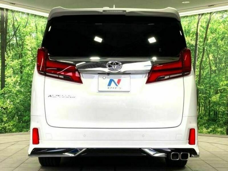 ALPHARD-15