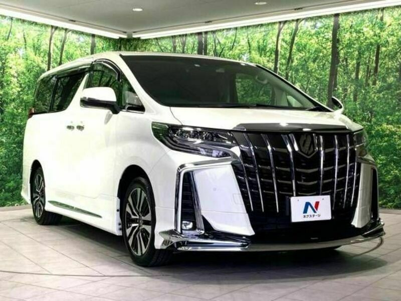 ALPHARD-16