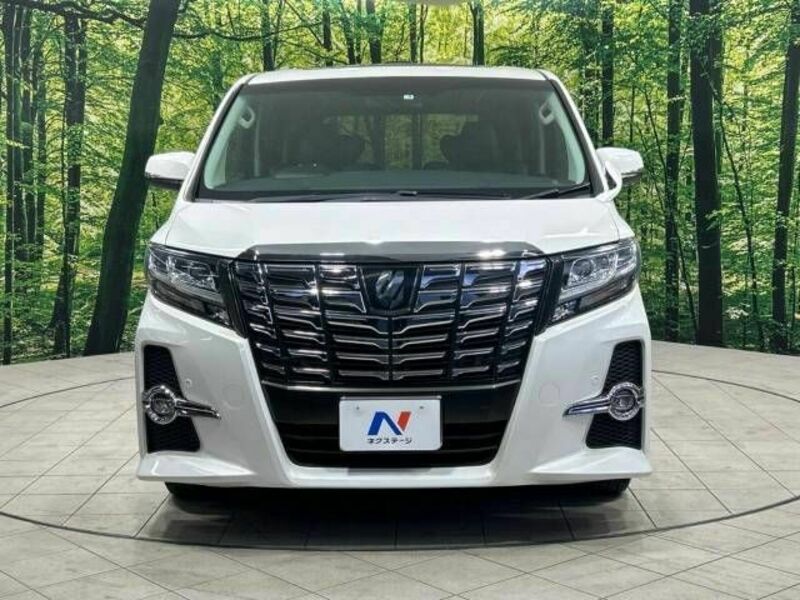 ALPHARD-15