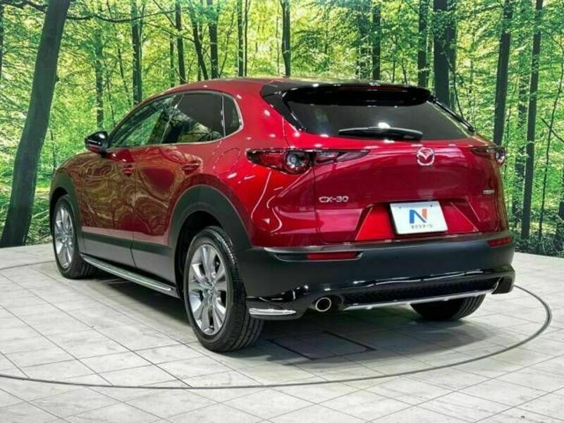 CX-30-17