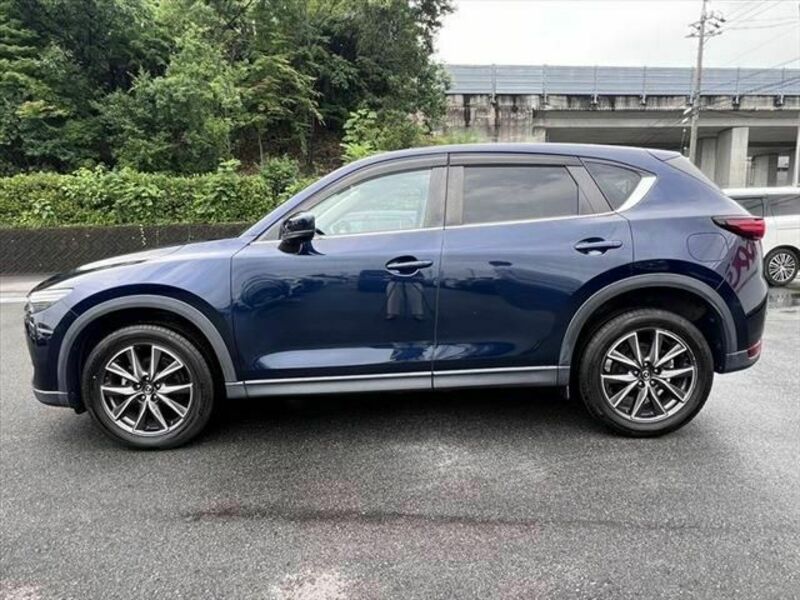 CX-5-19