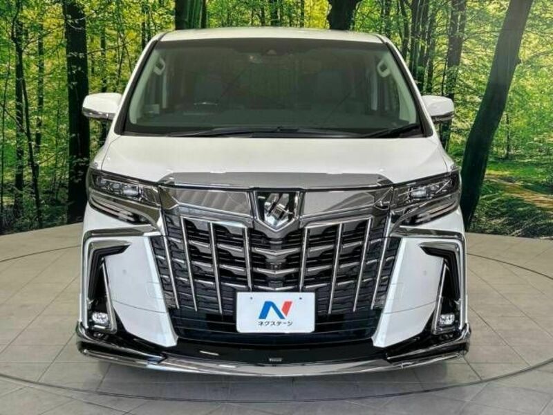 ALPHARD-15