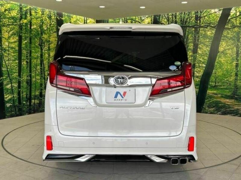 ALPHARD-16