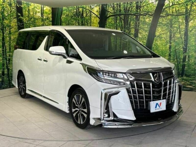 ALPHARD-17