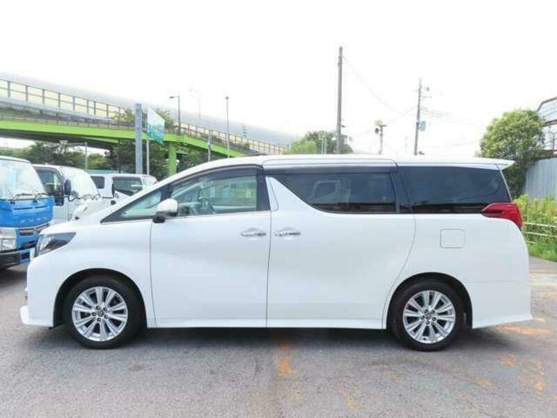 ALPHARD-14