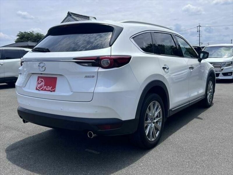 CX-8-19