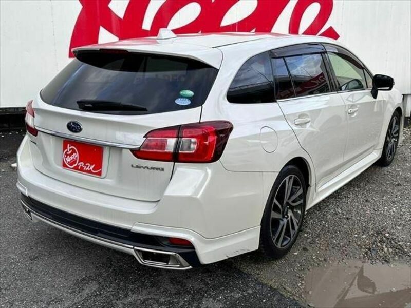 LEVORG-13