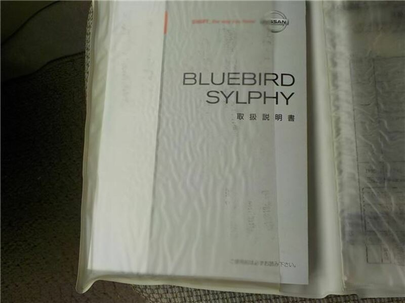 BLUEBIRD SYLPHY-24