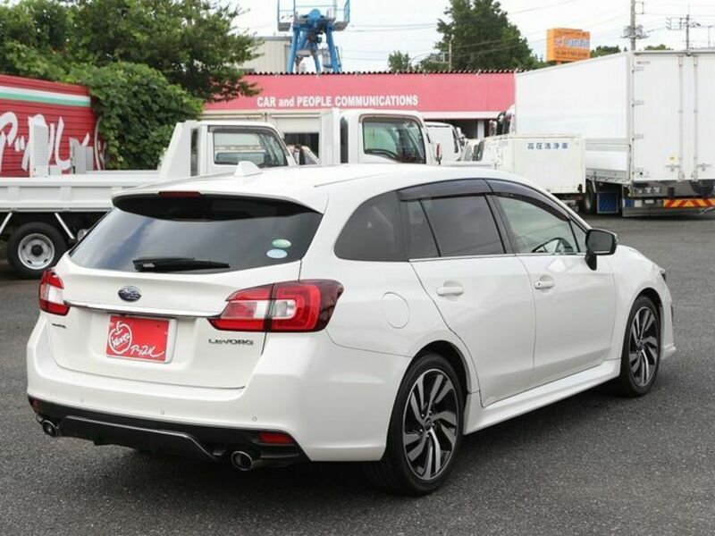 LEVORG-25