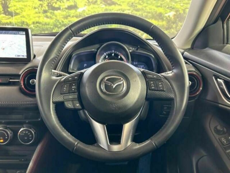 CX-3-10