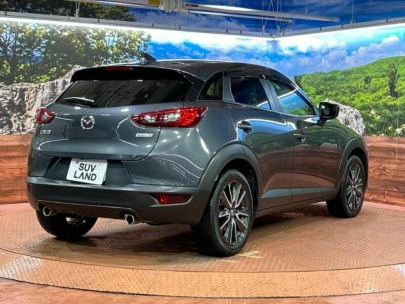 CX-3-16