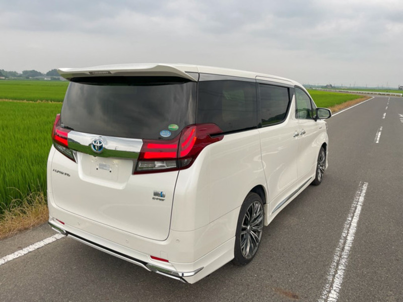 ALPHARD-13