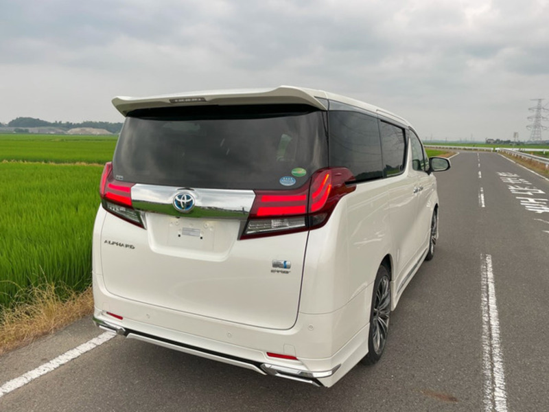 ALPHARD-15