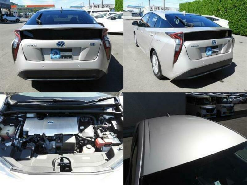 PRIUS-8