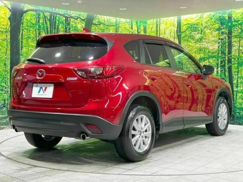 CX-5-17