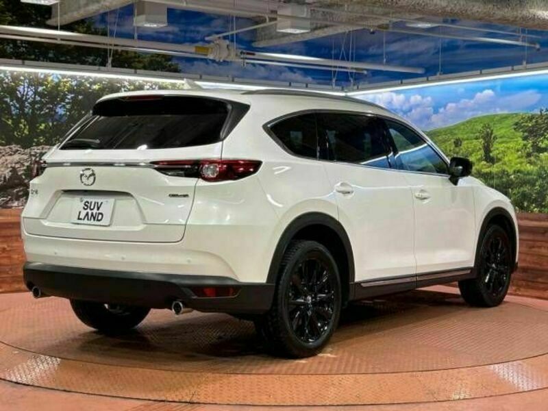 CX-8-17