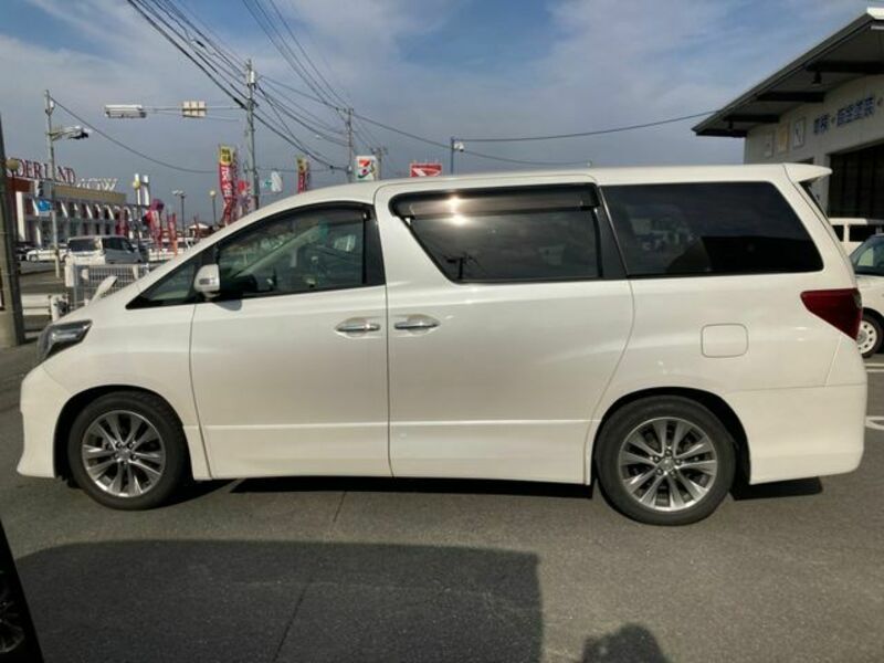 ALPHARD-1