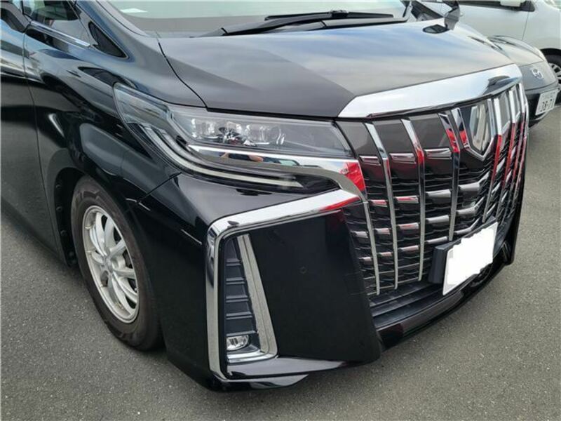 ALPHARD-3