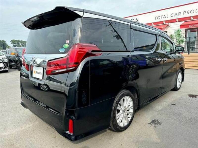 ALPHARD-14