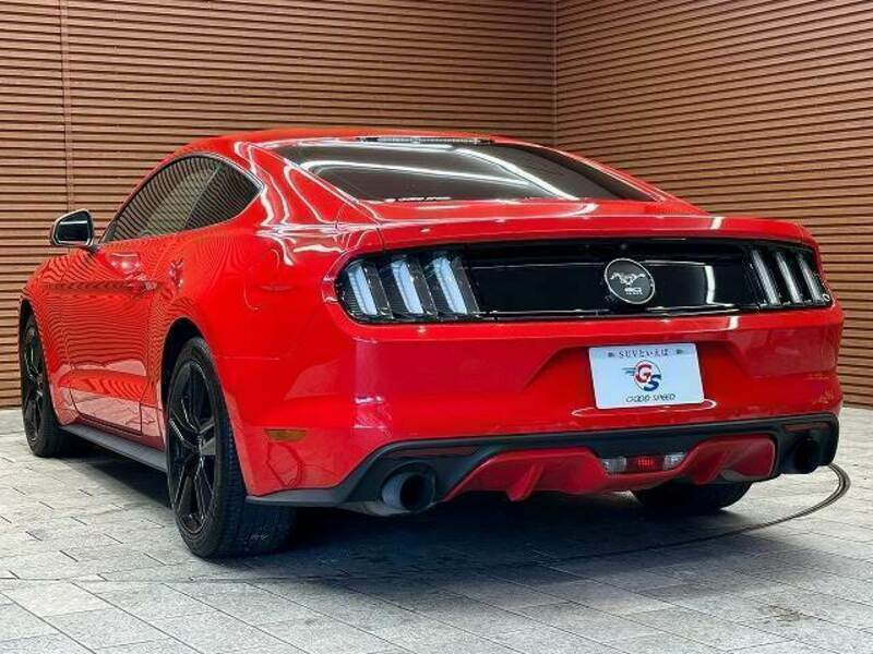 MUSTANG-15