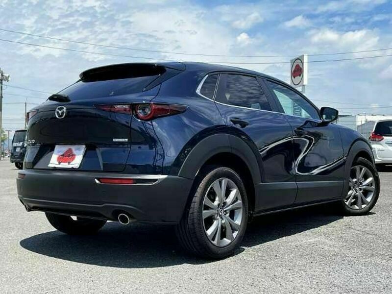 CX-30-2