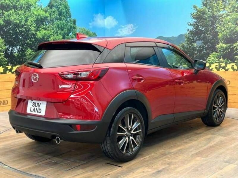 CX-3-17