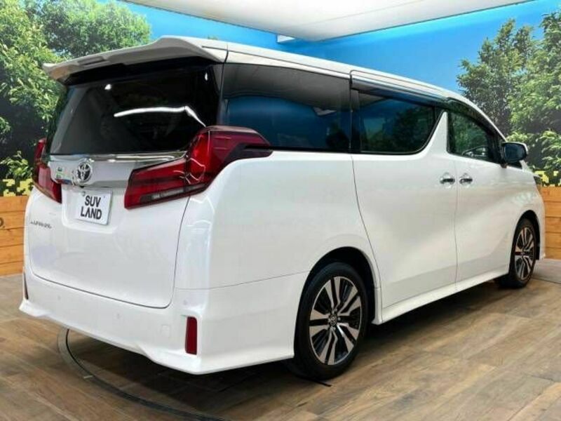 ALPHARD-18