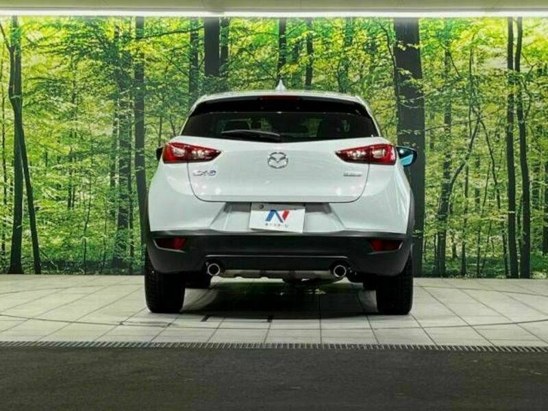 CX-3-15