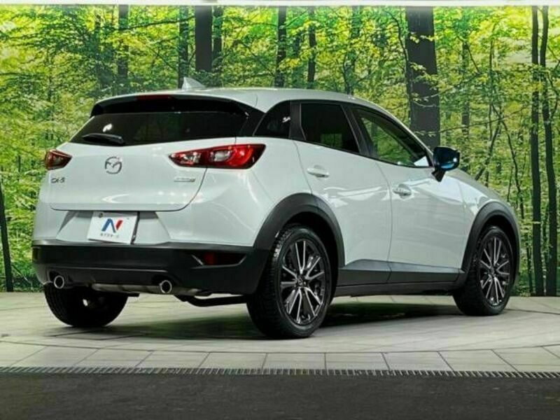 CX-3-17