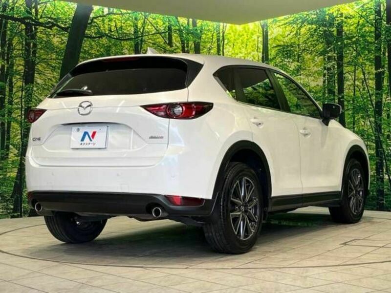 CX-5-18