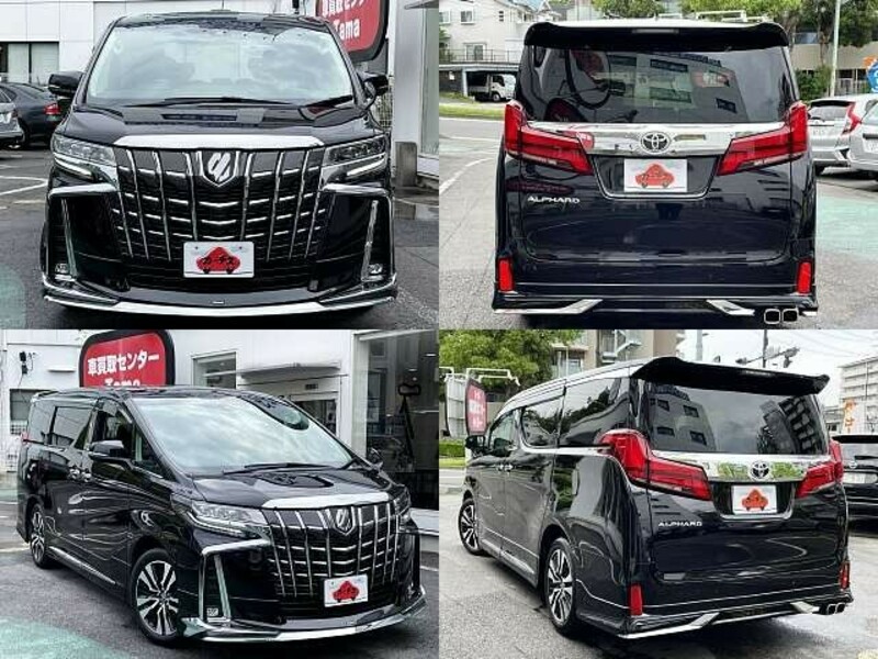 ALPHARD-8