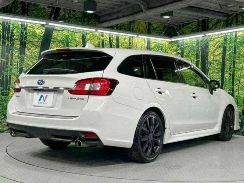 LEVORG-17