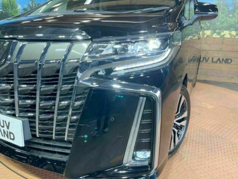 ALPHARD-14