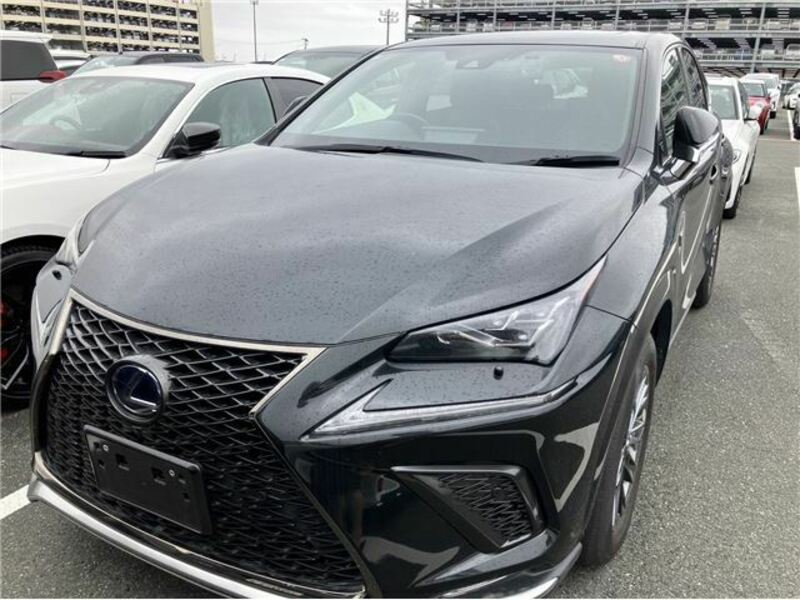 LEXUS　NX