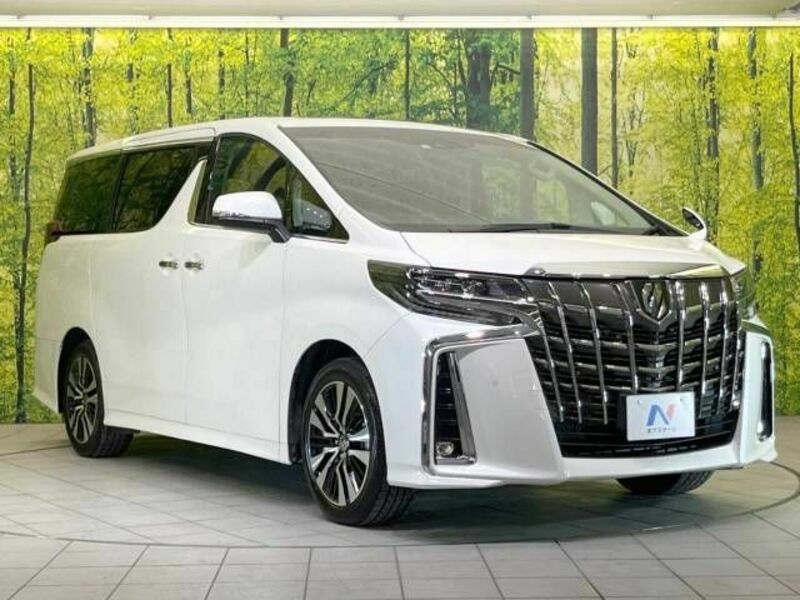 ALPHARD-17