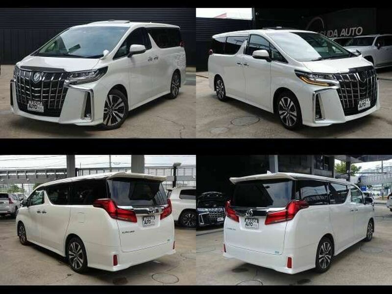 ALPHARD-12