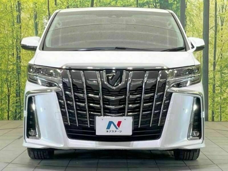 ALPHARD-14