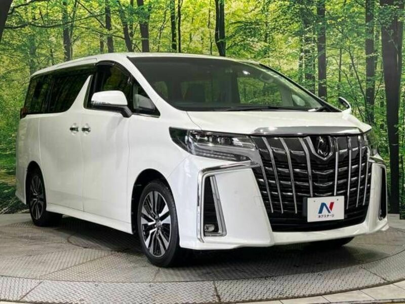 ALPHARD-17