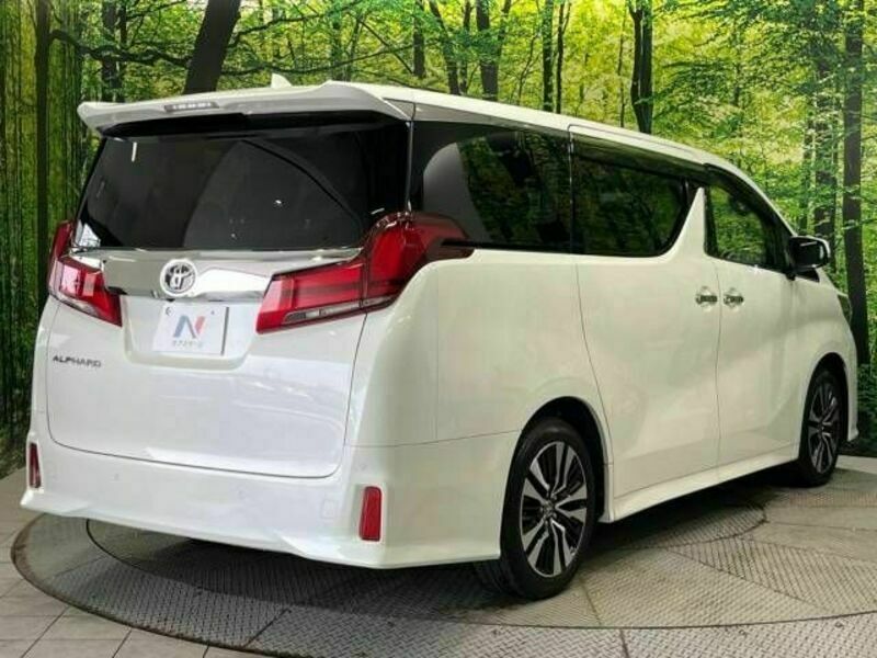 ALPHARD-18