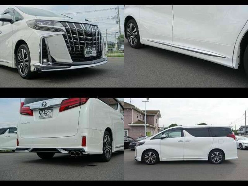 ALPHARD-12